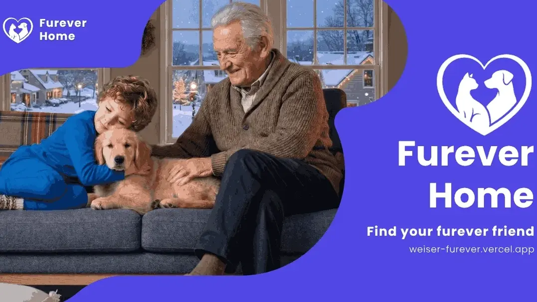 Furever Home - Pet Shelter CRM
